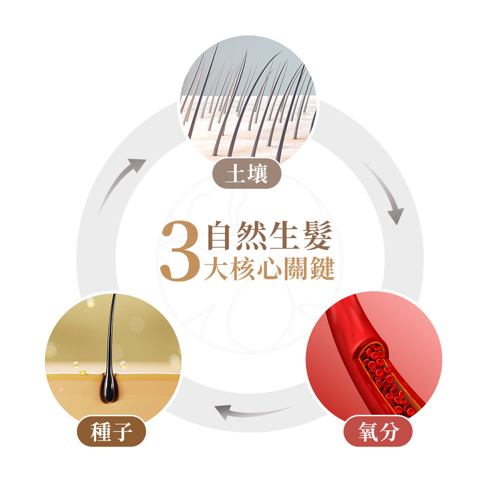 1.頭皮血液循環調理 2.毛囊再生刺激 3. 客製化療程規劃