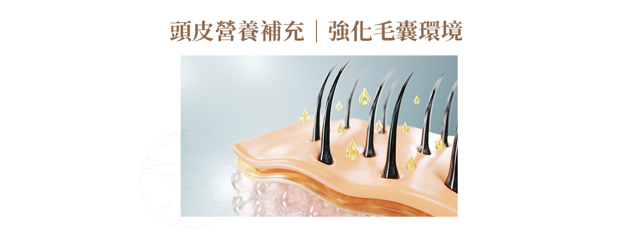 透過導入或注入，將富含胜肽、生長因子、維生素的精華送達毛囊。就像幫土壤補充養分，避免「土壤養分不足」造成頭髮長得不健康。