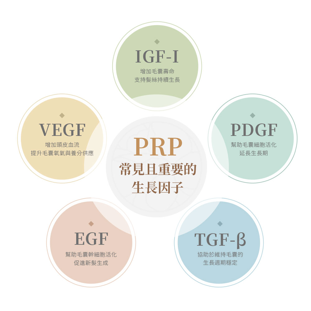 1. 血管內皮生長因子 (VEGF)，改善頭皮的血液循環。2.血小板衍生生長因子 (PDGF)，它能促進細胞生長、修復並延長毛囊的生長期。3.胰島素樣生長因子 (IGF-1) ，它能刺激毛囊細胞增殖，並有助於延緩毛囊的萎縮。4.表皮生長因子 (EGF) ，對於毛囊的再生與修復也有直接幫助。5.轉化生長因子β (TGF-β) 負責調節細胞生長與分化，它有助於維持毛囊的生長週期穩定。