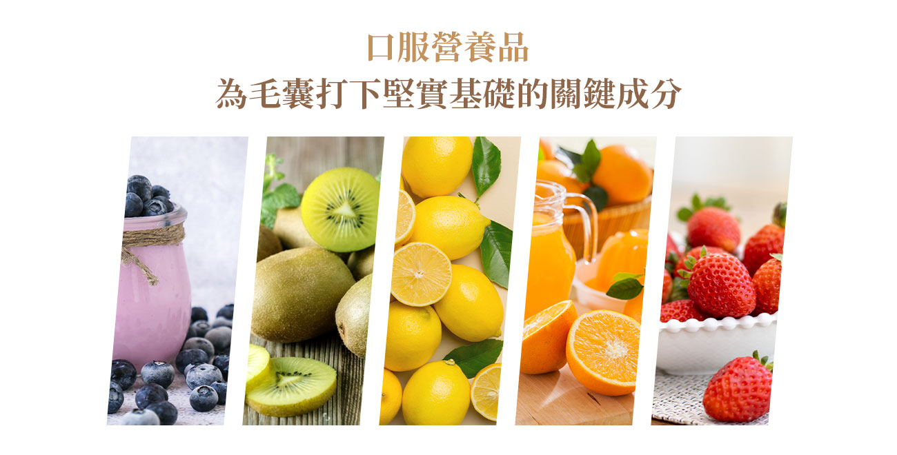 口服營養品：包含,礦物質與微量元素,維生素群,葉酸、DHT 抑制成分