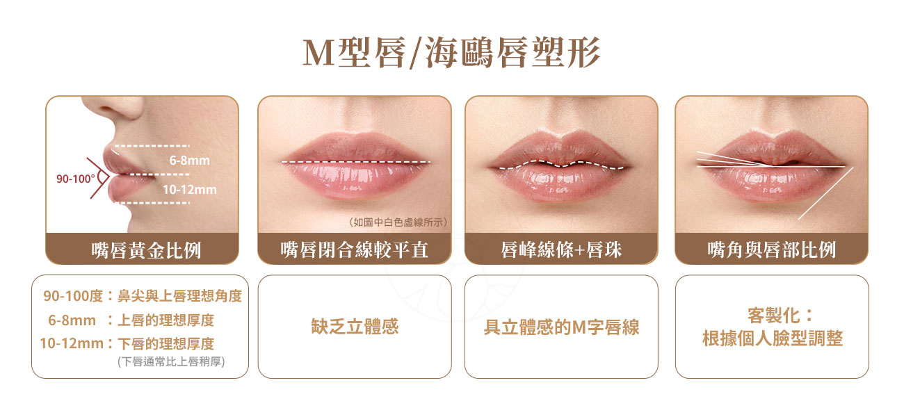M型唇/海鷗唇塑形原理：1.找到嘴唇黃金比例2. 嘴唇閉會線較為平直3.唇峰線條+唇珠4.找到嘴角與唇部最適比例