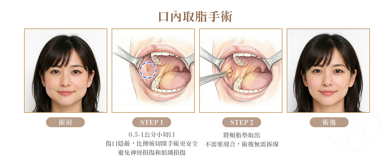 ALL_catalog_plasticsurgery_26B05_40o52px5O5