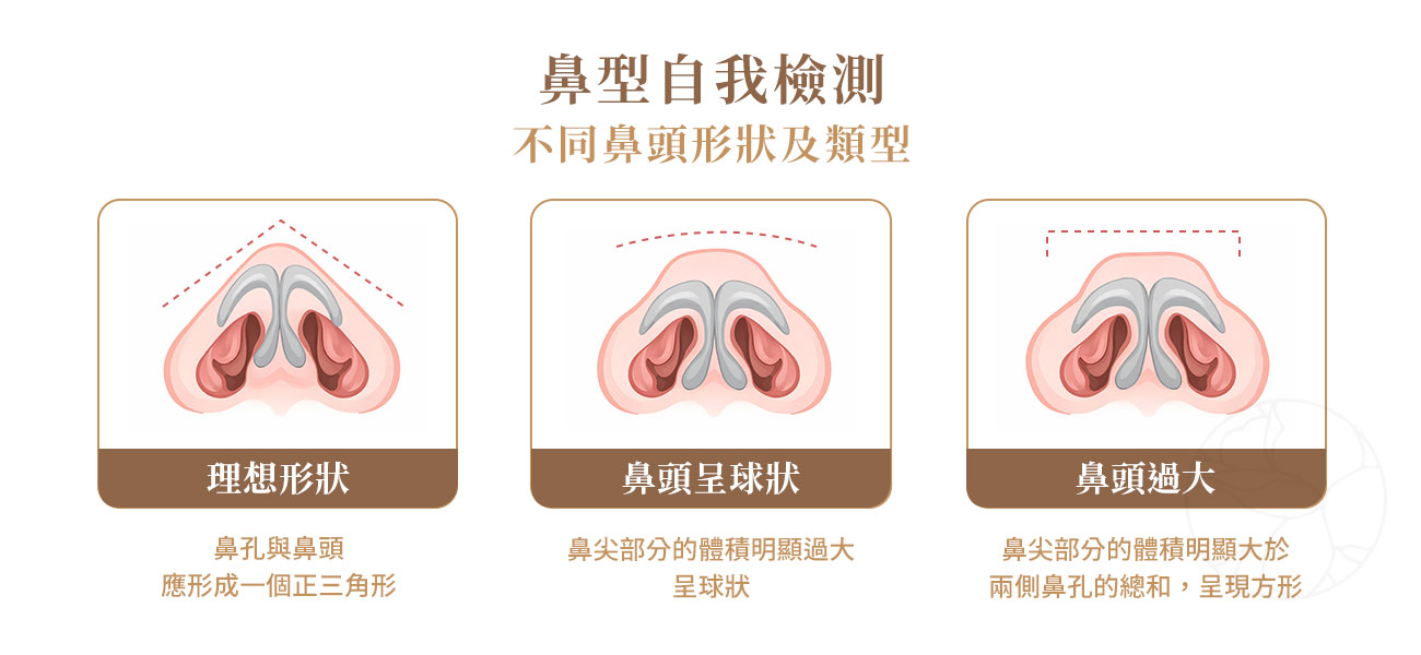 鼻型美學自我檢測：鼻翼寬度、仰角大三角與海鷗線標準