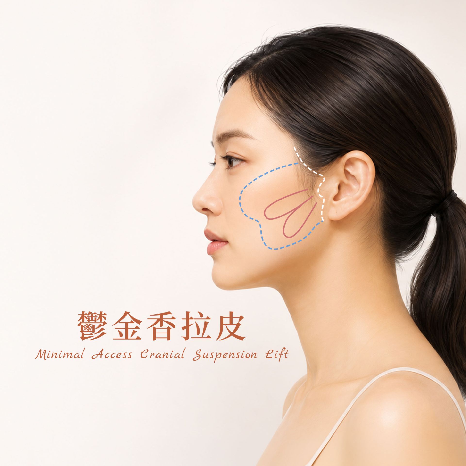 ALL_catalog_plasticsurgery_26F24_R8lgPBZWFc