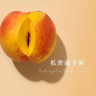 ALL_catalog_plasticsurgery_24K29_4HDOLBLTsq