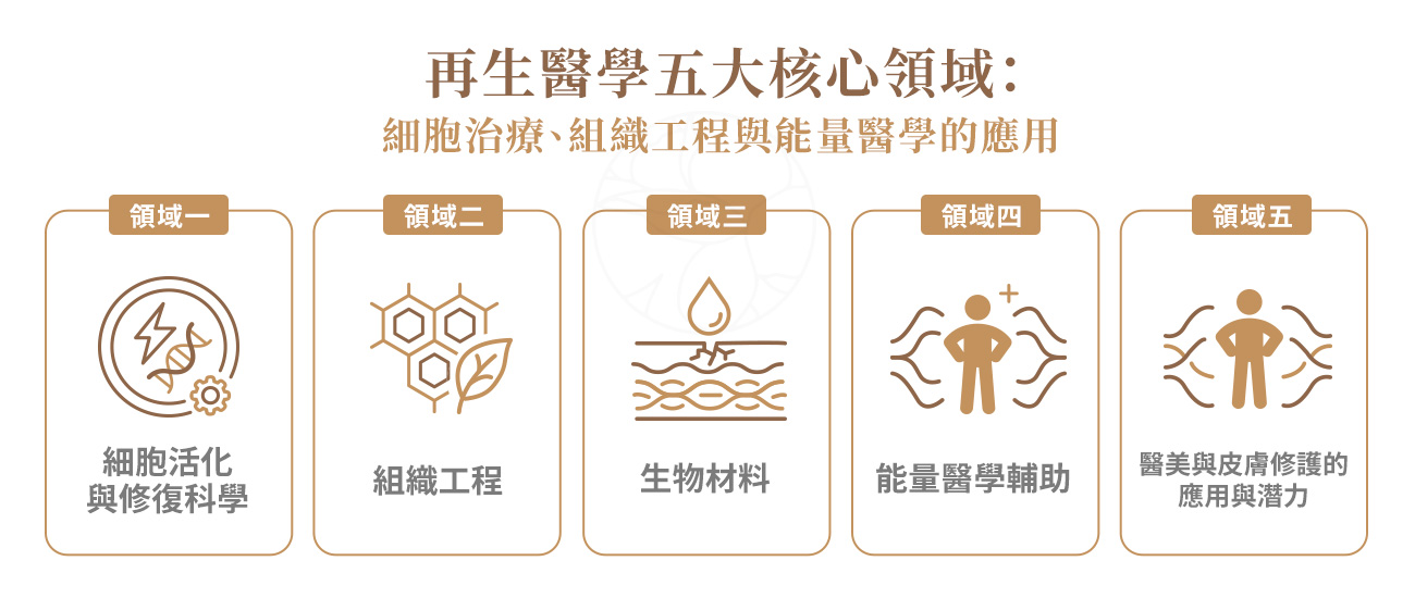 再生醫學五大核心領域 再生醫學五大核心領域,領域一:細胞活化與修復科學,領域二:組織工程(Tissue Engineering)領域三:生物材料(Biomaterials)應用、領域四:能量醫學輔助,領域五:再生醫學在醫美與皮膚修護的應用與潛力