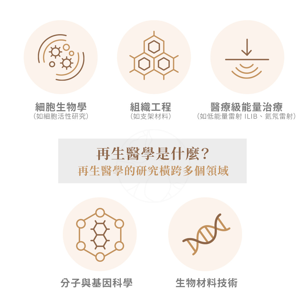 再生醫學是什麼? 再生醫學的研究橫跨多個領域,包括: 細胞生物學(如細胞活性研究) 組織工程(如支架材料) 醫療級能量治療(如低能量雷射 ILIB、氦氖雷射) 分子與基因科學 生物材料技術
