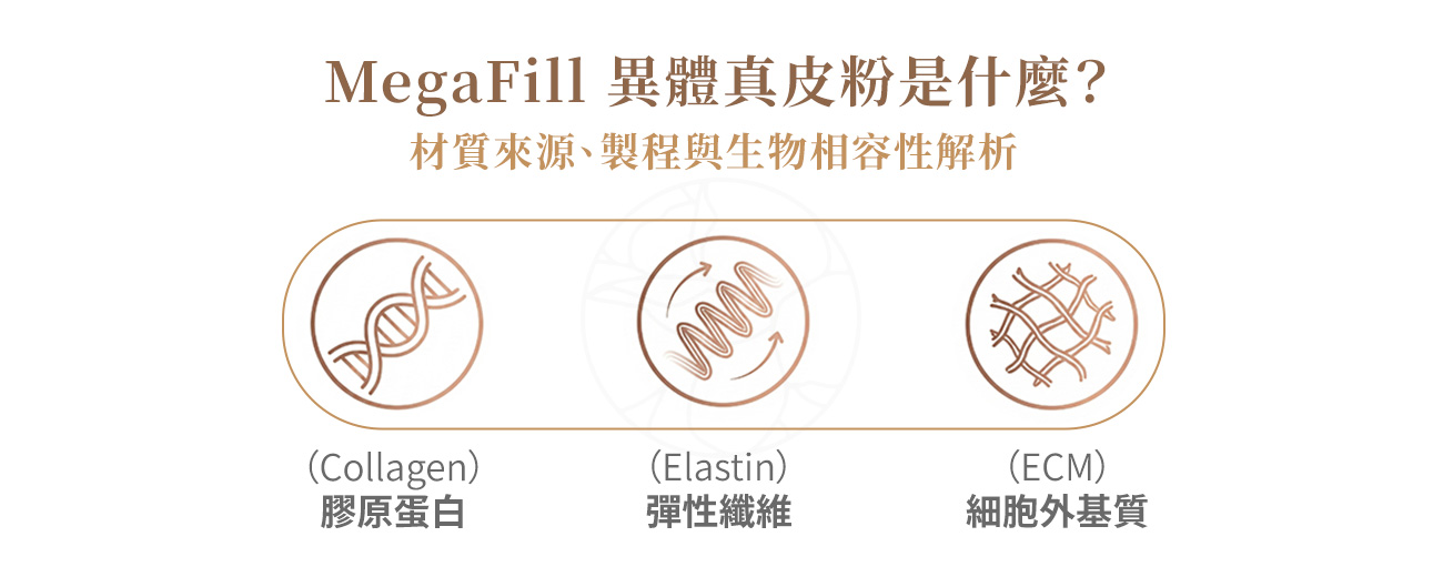MegaFill 異體真皮粉是什麼？材質來源、製程與生物相容性解析