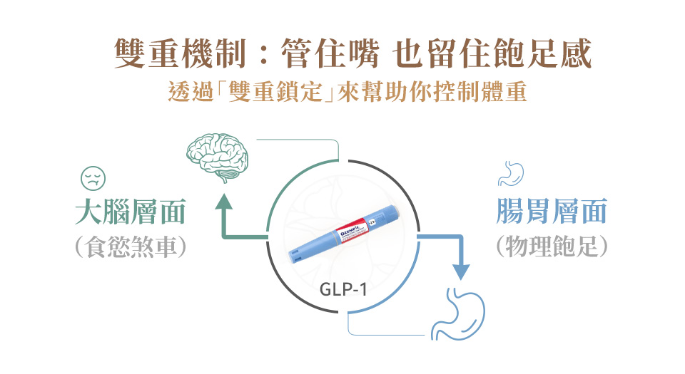 什麼是胰妥讚 (Ozempic)?它如何幫助減重? 什麼是胰妥讚 (Ozempic)?它如何幫助減重?1.大腦層面(食慾煞車)2.腸胃層面(物理飽足)