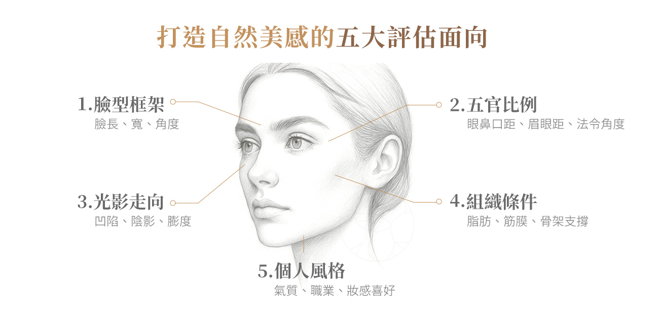  ① 臉型框架（臉長、寬、角度） ② 五官比例（眼鼻口距、眉眼距、法令角度） ③ 光影走向（凹陷、陰影、膨度） ④ 組織條件（脂肪、筋膜、骨架支撐） ⑤ 個人風格（氣質、職業、妝感喜好）