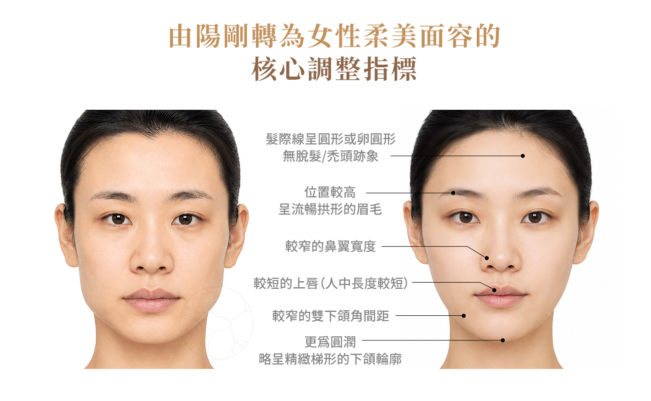 髮際線呈圓形或卵圓形、較高且暢洪形的眉毛、較窄鼻翼寬度、較窄的上唇、較窄的雙下頜角間距、圓潤且略呈精緻梯形的下頜輸廓