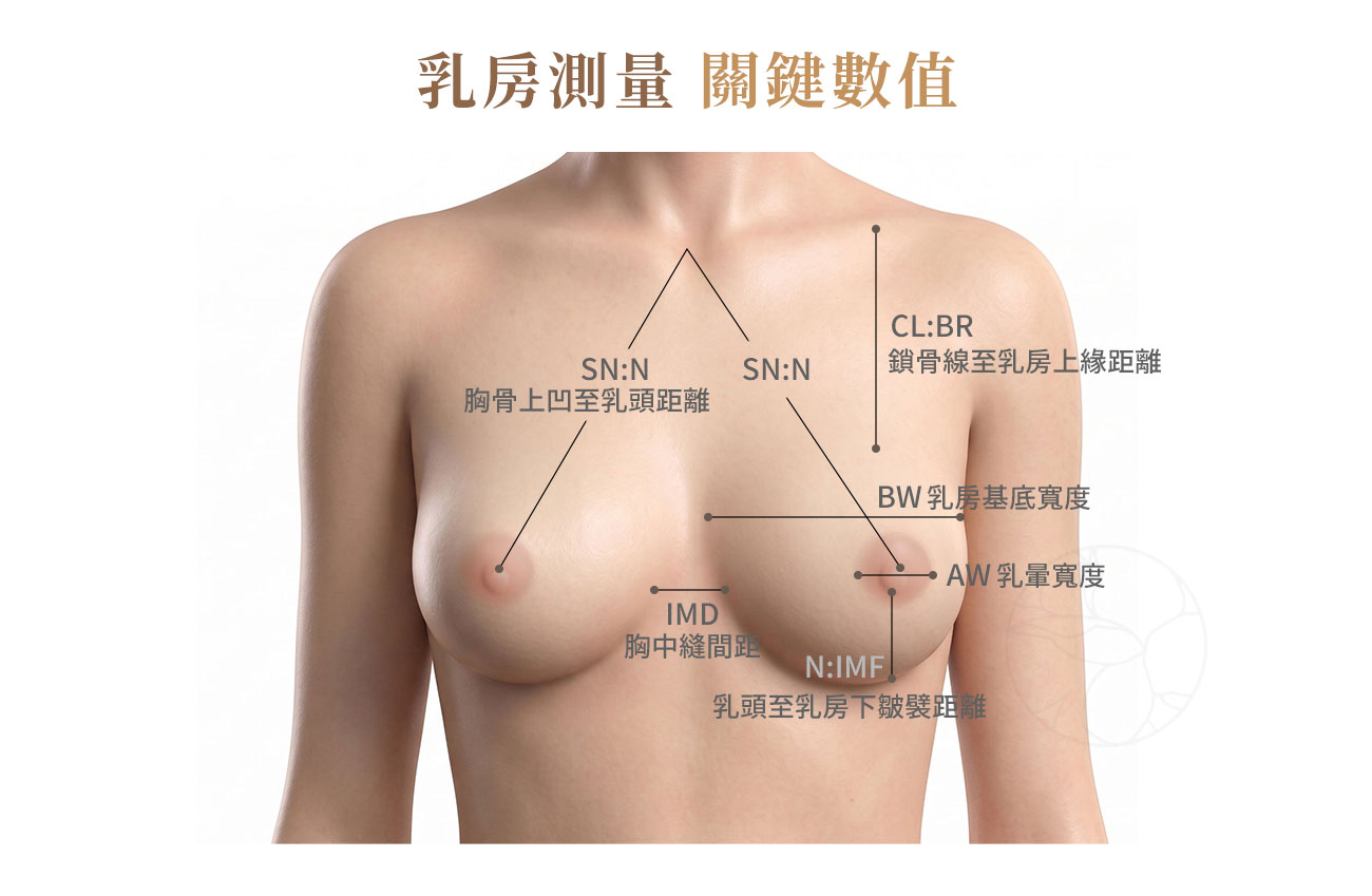 隆乳前五大測量數值(TBW、N:IMF、SN:N) 隆乳前五大測量數值(TBW、N:IMF、SN:N)