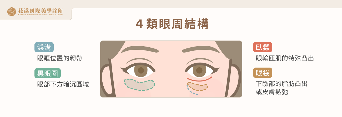 4 類眼周結構